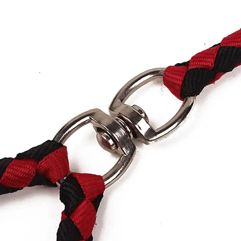 Strong Dual Dog Leash for Two Dogs by Love My Pet