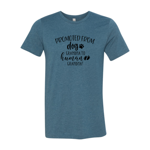 Promoted from Dog Grandma to Human Grandma T-Shirt by Furr Baby Gifts