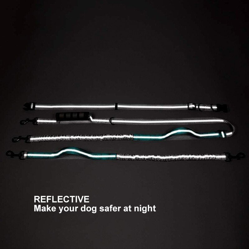 Multifunctional Handsfree Bungee Dog Leash by Furr Baby Gifts