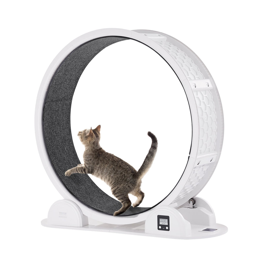 Cat Exercise Wheel With Pedometer 40.8 Cat Treadmill For Pet Health White by VetsPetStore