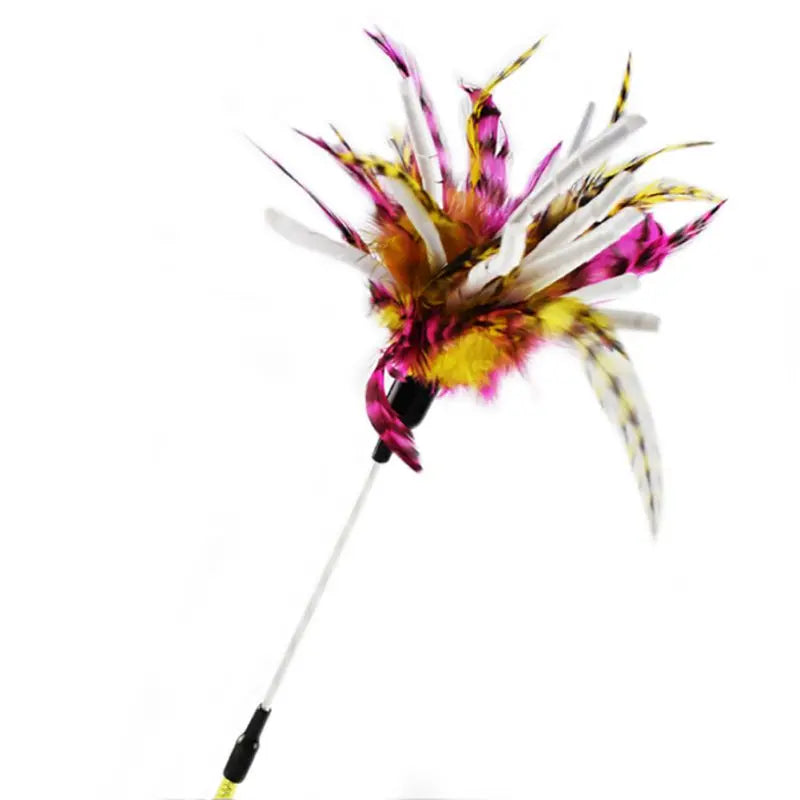 Interactive Cat Toy Feather Bird with Multiple Options by Love My Pet