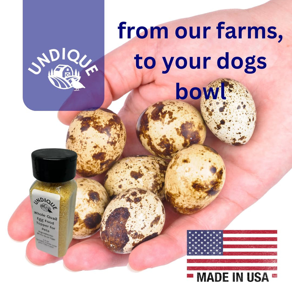 Quailicious Boost Pet Food Enhancer - Healthy Dog Food Topper with Whole Quail Eggs - Pet Health Supplements for Energy, Immune Function, Shiny Coat & Skin - Omega-3 & Omega-6 Rich by Quailz.com by Undique LLC