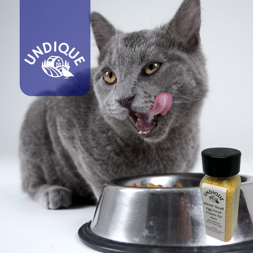 Quailicious Boost - Made in USA High-Protein Quail Egg Cat Food Topper, Freeze-Dried for Cat Digestive Health - Nutrient-Rich, Grain-Free Digestive Support for Cats, Ideal for Picky Eaters by Quailz.com by Undique LLC