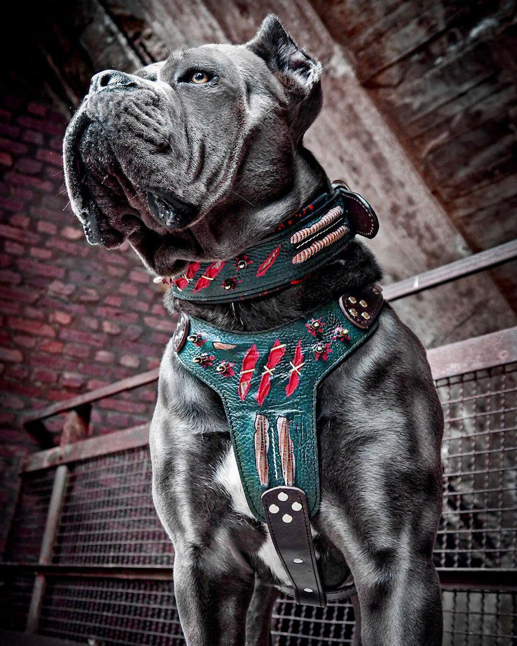 The "Haunted'' collar LIMITED by Bestia Dog Gear