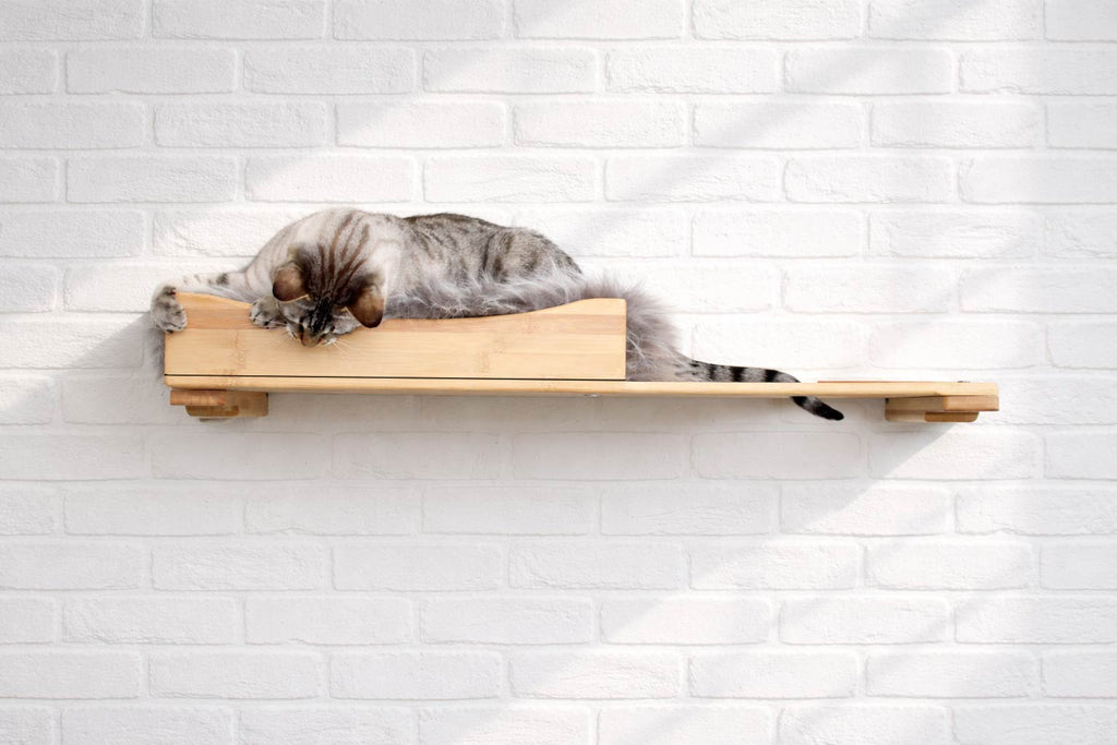 The Cat Nest Bed by Catastrophic Creations