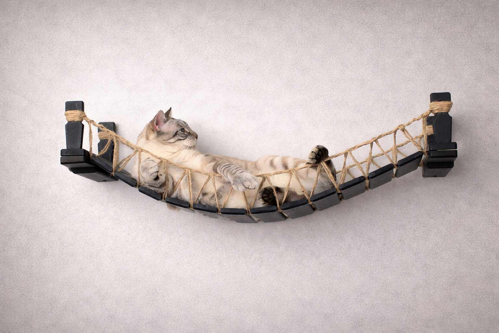 Cat Bridge for Wall by Catastrophic Creations