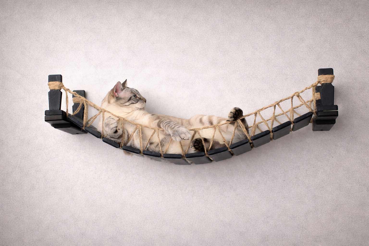 Cat Bridge for Wall by Catastrophic Creations