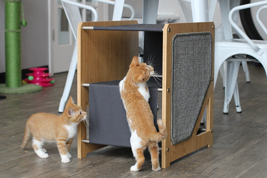 The Grotto - Short Cat Tree for Small Spaces by Catastrophic Creations