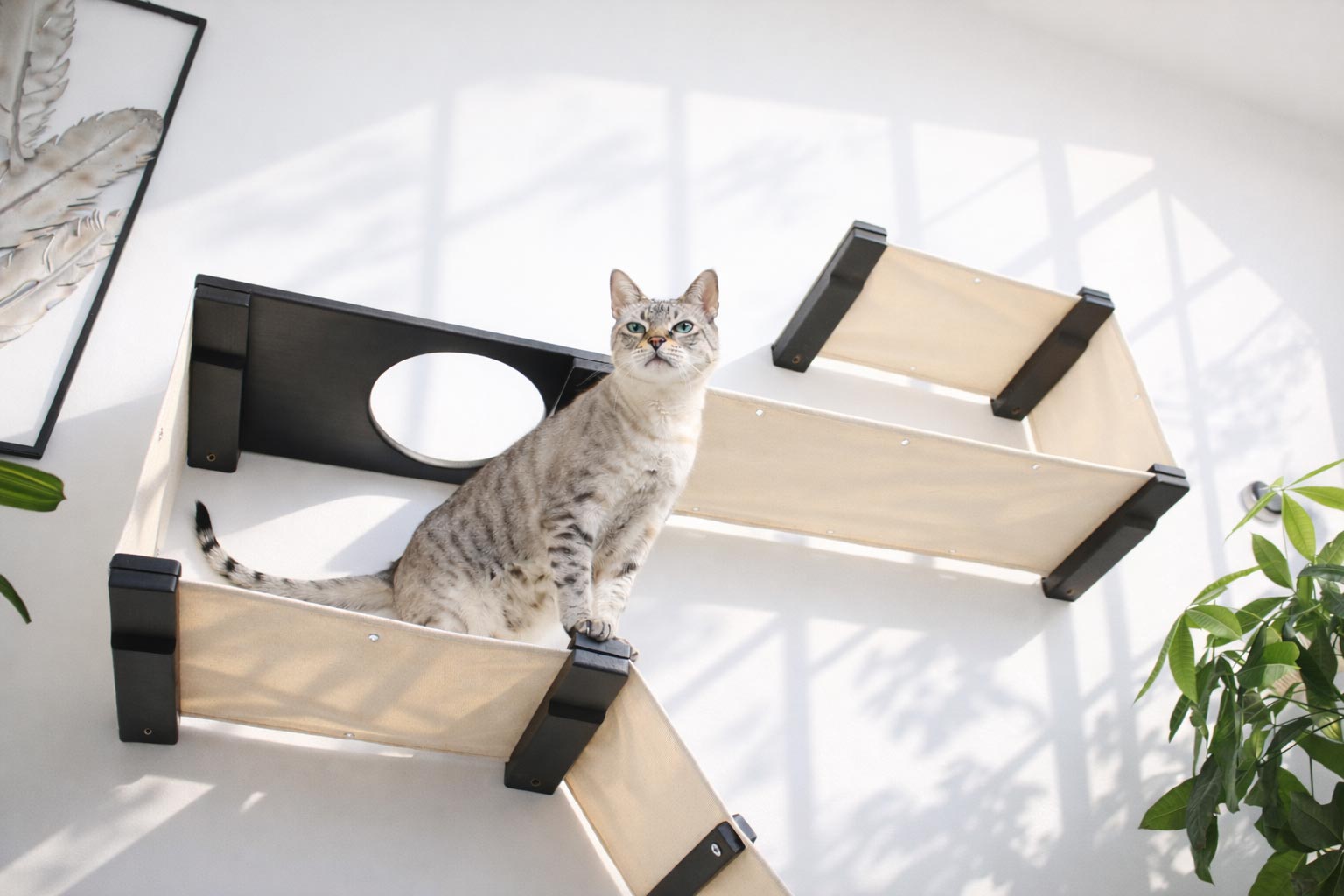 The Play - A Cat Play Wall System by Catastrophic Creations