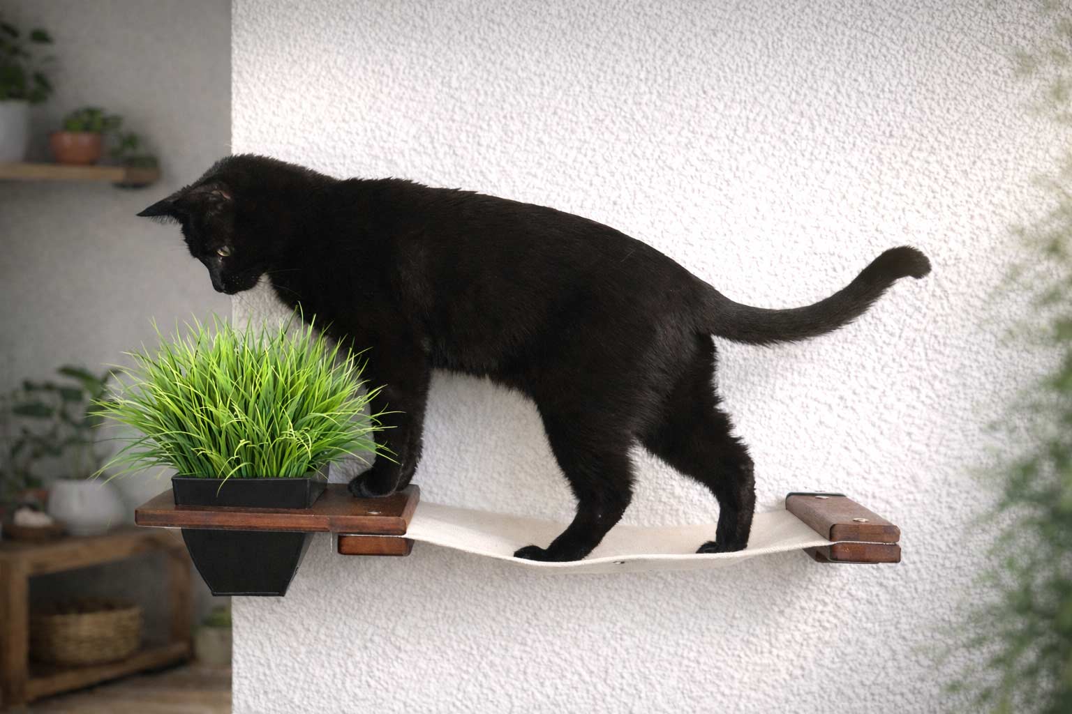 Cat Hammock Wall with Planter by Catastrophic Creations