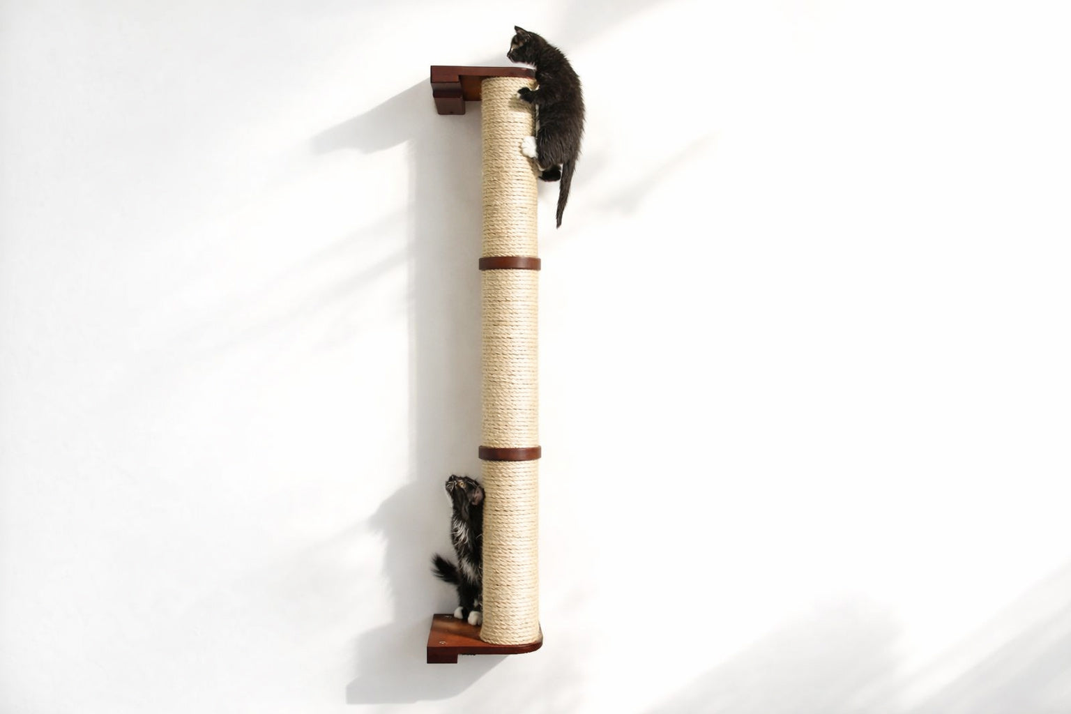 Wall Mounted Cat Climbing Pole - Sisal by Catastrophic Creations