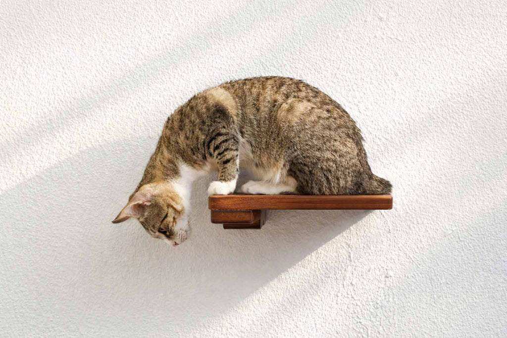 Cat Climbing Shelf by Catastrophic Creations