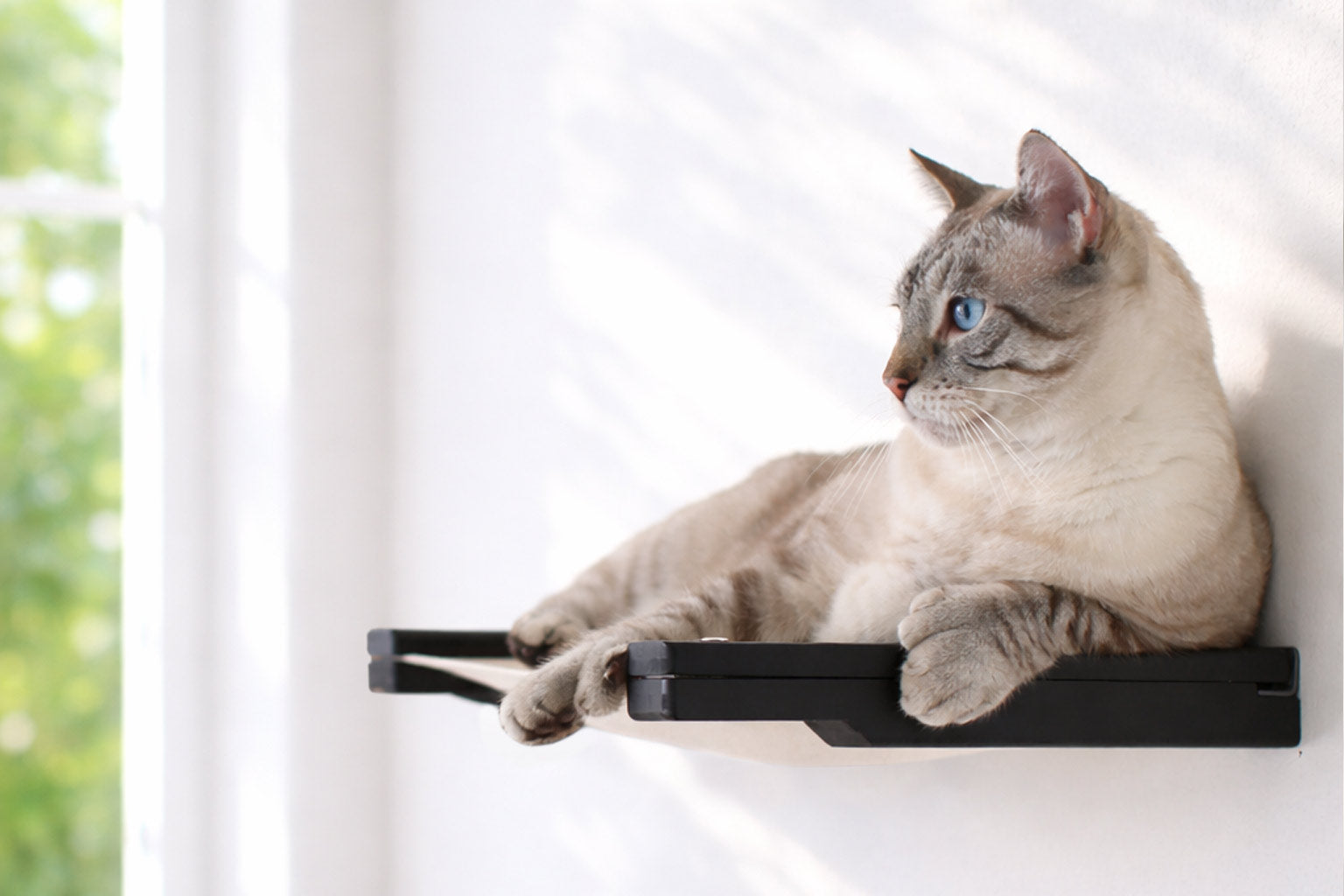 Hanging Cat Bed Hammock by Catastrophic Creations
