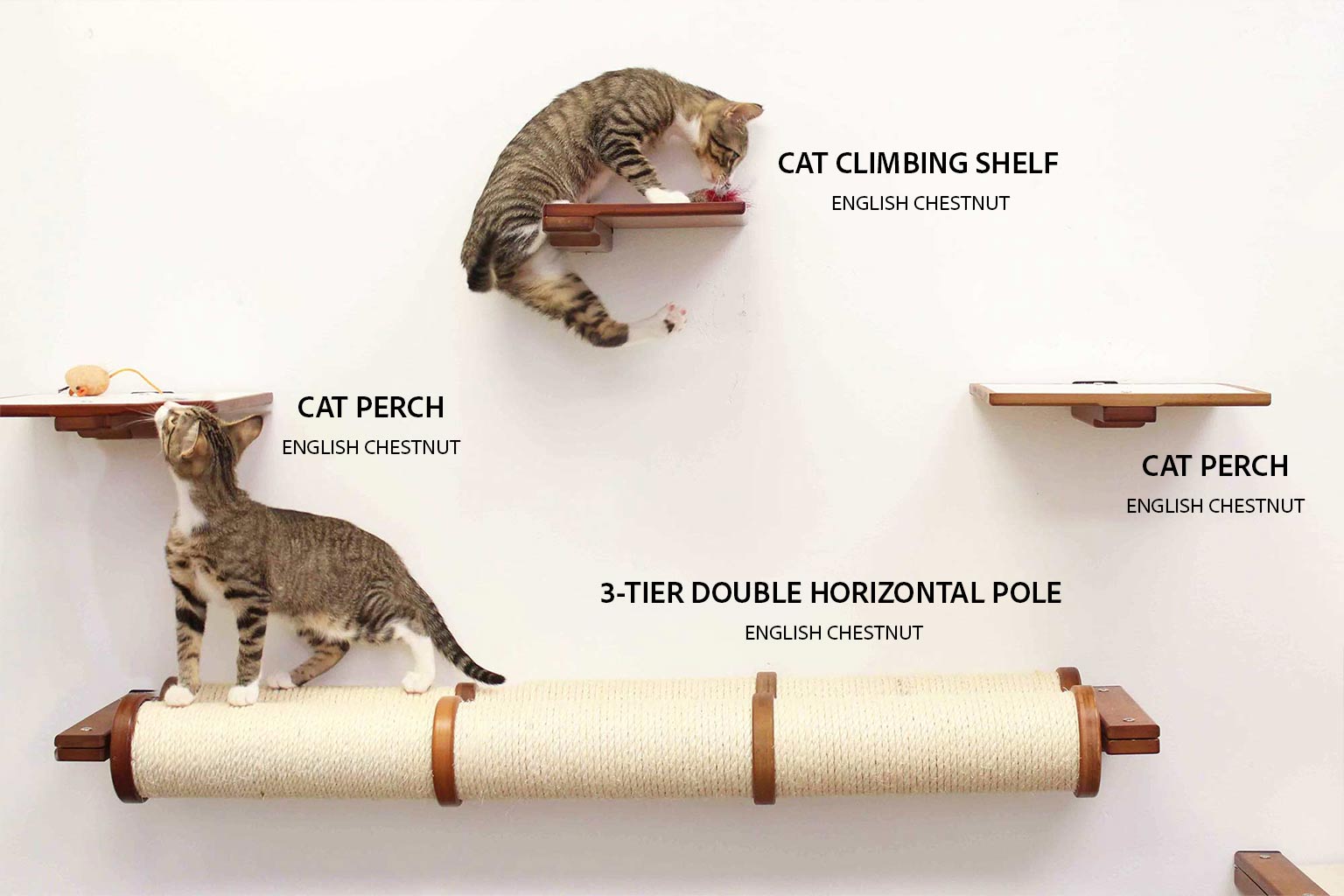 Cat Perch - Wall Mounted and Wooden by Catastrophic Creations