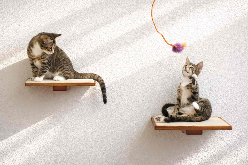 Cat Perch - Wall Mounted and Wooden by Catastrophic Creations