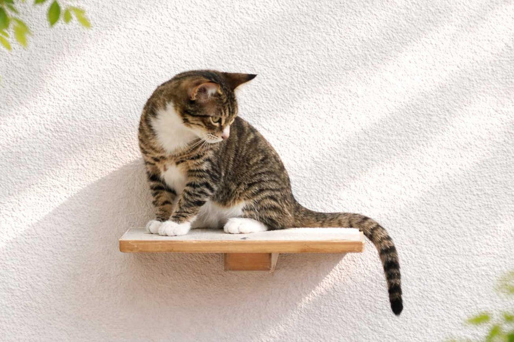 Cat Perch - Wall Mounted and Wooden by Catastrophic Creations