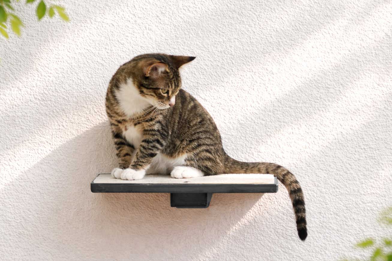 Cat Perch - Wall Mounted and Wooden by Catastrophic Creations
