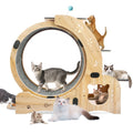 Cat Wheel 6-in-1 Cat Fitness Wheel by Love My Pet
