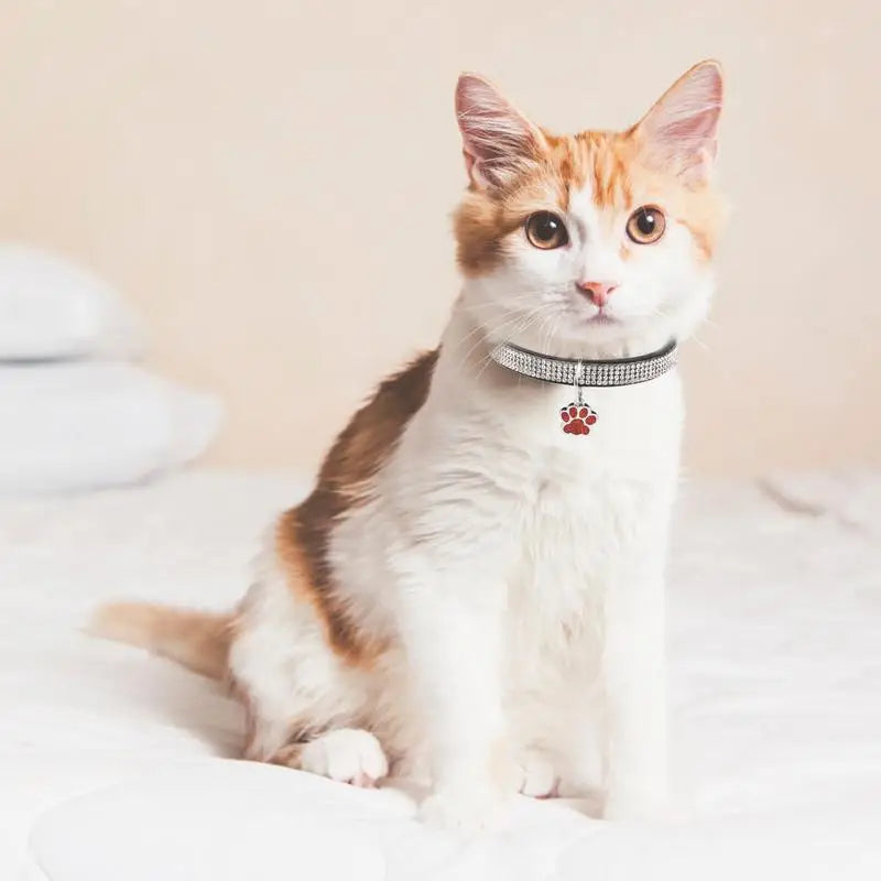 Sparkling Pet Collars With Paw Print Tag by Love My Pet