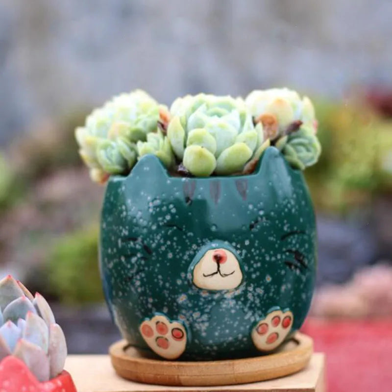 Cartoon Succulent Plant Pot Cat Animal Flowerpot4Pcs/Set by Love My Pet