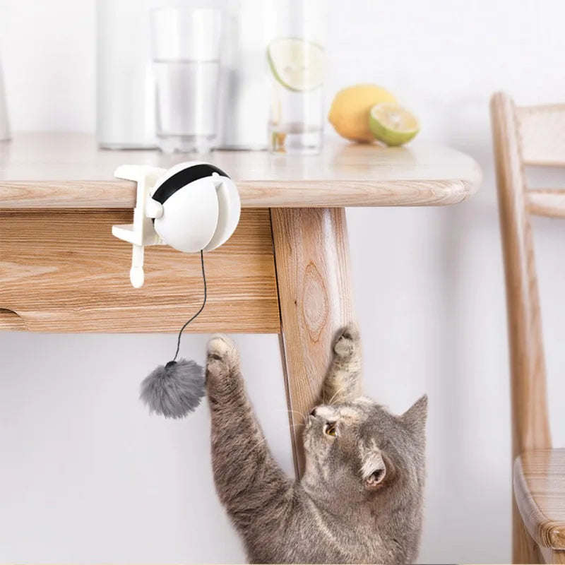 Electric Lifting Interactive Cat Teaser Ball by Love My Pet