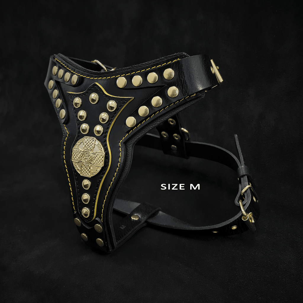 The "Maximus" harness V2 by Bestia Dog Gear