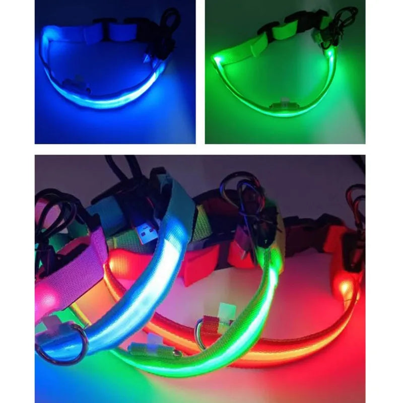 Nylon LED Pet Dog Collar USB Charging by Love My Pet