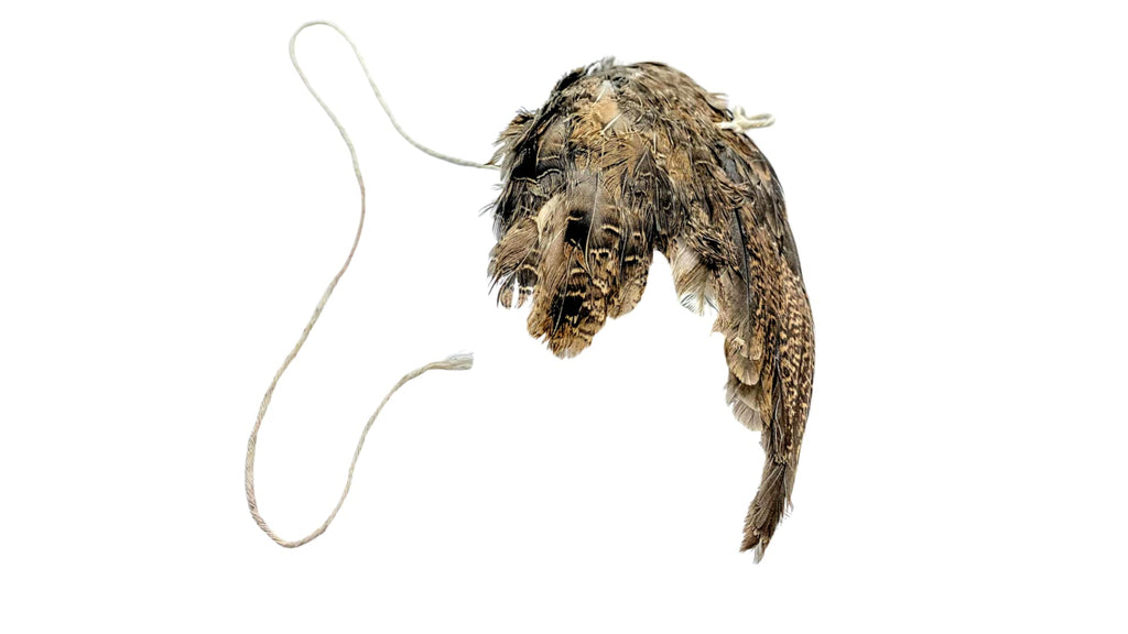 Wing on String Cat Toy - Real Bird Wing Dog Training Supplies & Accessories, Quail Wing Bird Scent Interactive Play for Cats, Hunting Dog Training Bird Retrieval Cat Trainer by Quailz.com by Undique LLC