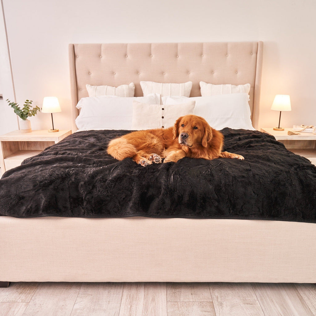 PupProtector™ Summer Short Fur Waterproof Throw Blanket - Midnight Black by Paw.com