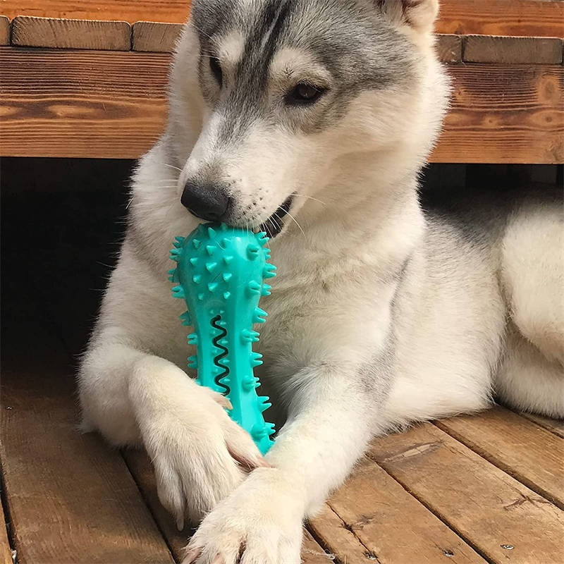 Pet Dog Cleaning Chew Toys For Aggressive Dogs Rubber Molar Stick Dog Oral Teeth by Love My Pet