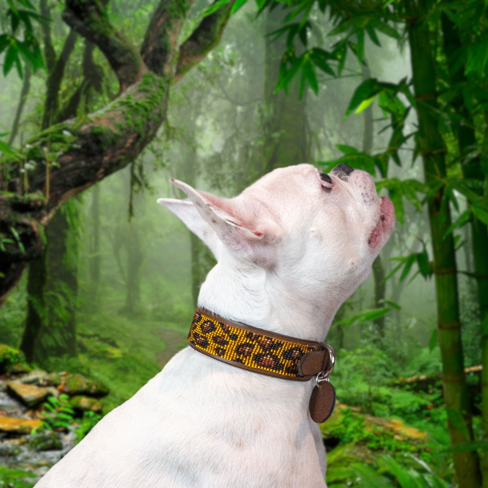 Cheetah Sambboho dog collar (animal print collection) by Sambboho