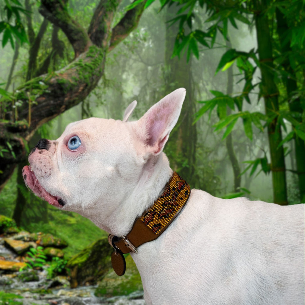 Cheetah Sambboho dog collar (animal print collection) by Sambboho