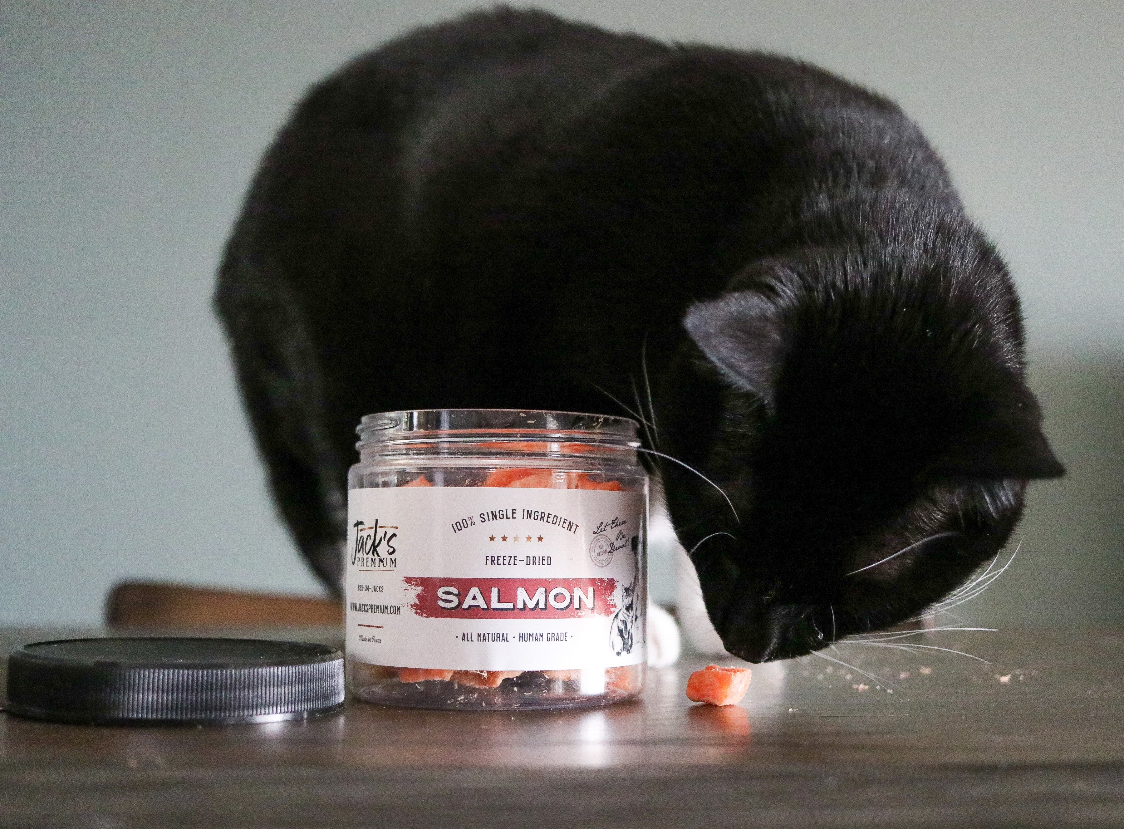 Salmon Freeze Dried by Jack's Premium