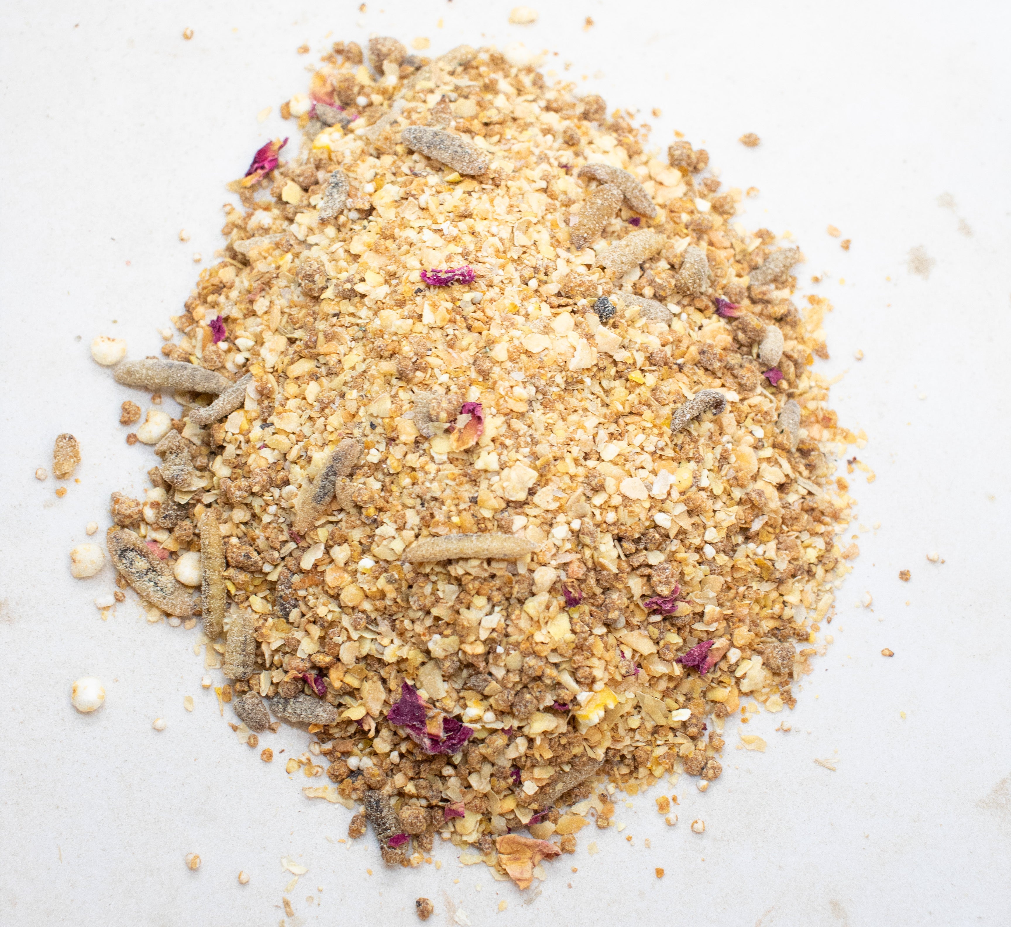 Chickeratti Treat For Baby Chicks by Dahlia Pets