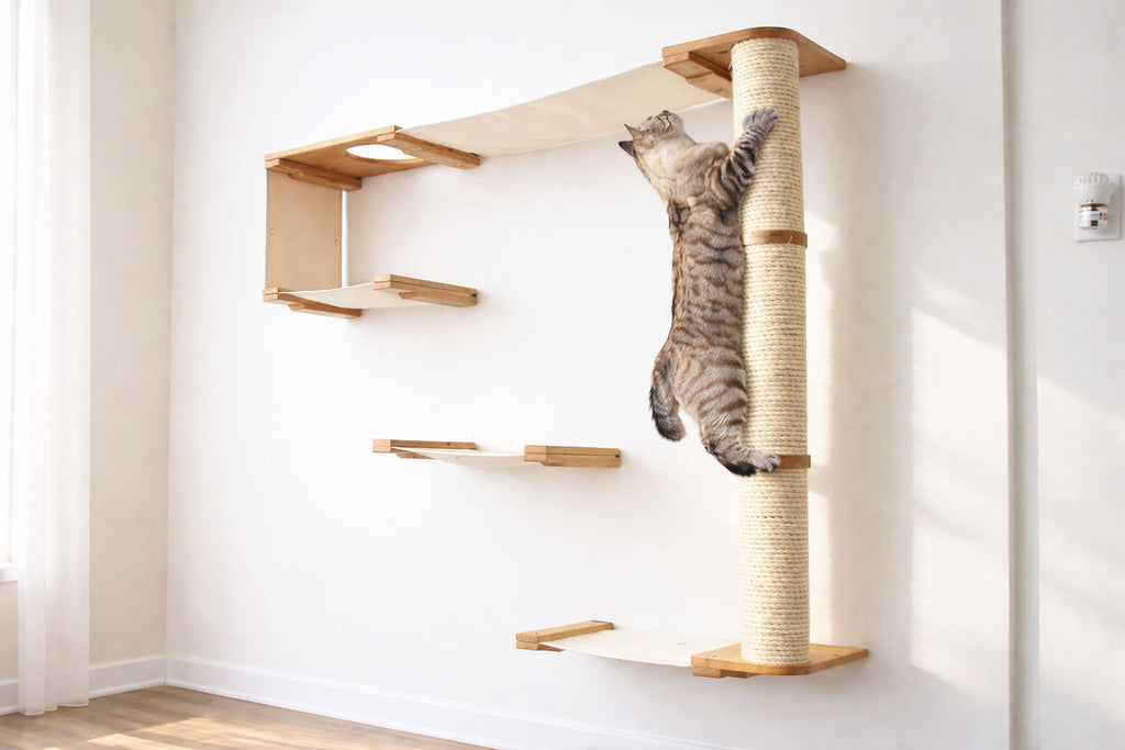The Climb Condo - Cat Wall Climbing System by Catastrophic Creations