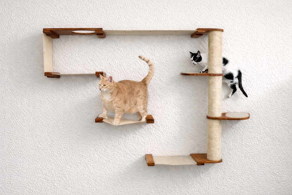 The Climb Condo - Cat Wall Climbing System by Catastrophic Creations