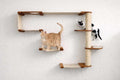 The Climb Condo - Cat Wall Climbing System by Catastrophic Creations
