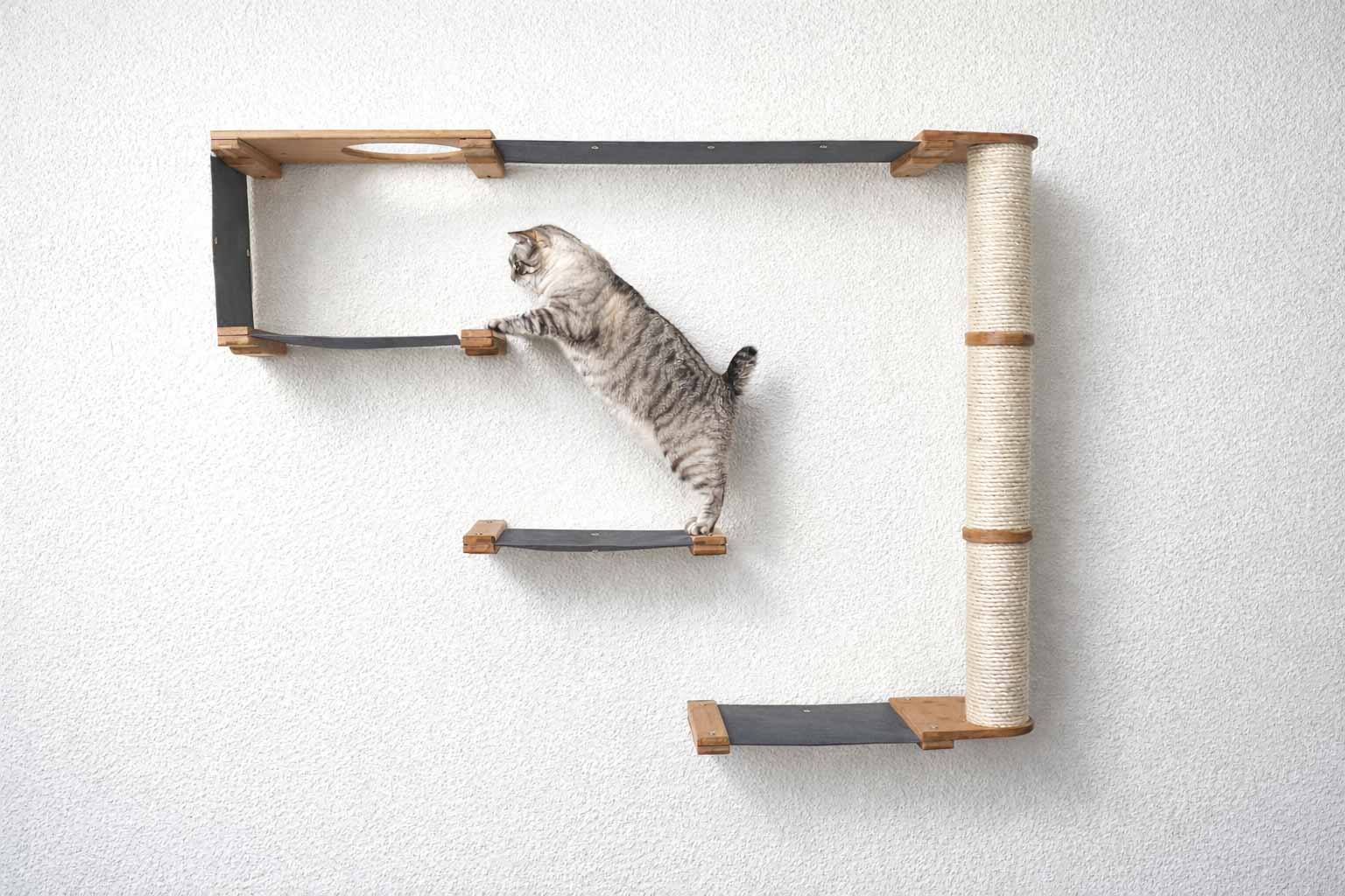 The Climb Condo - Cat Wall Climbing System