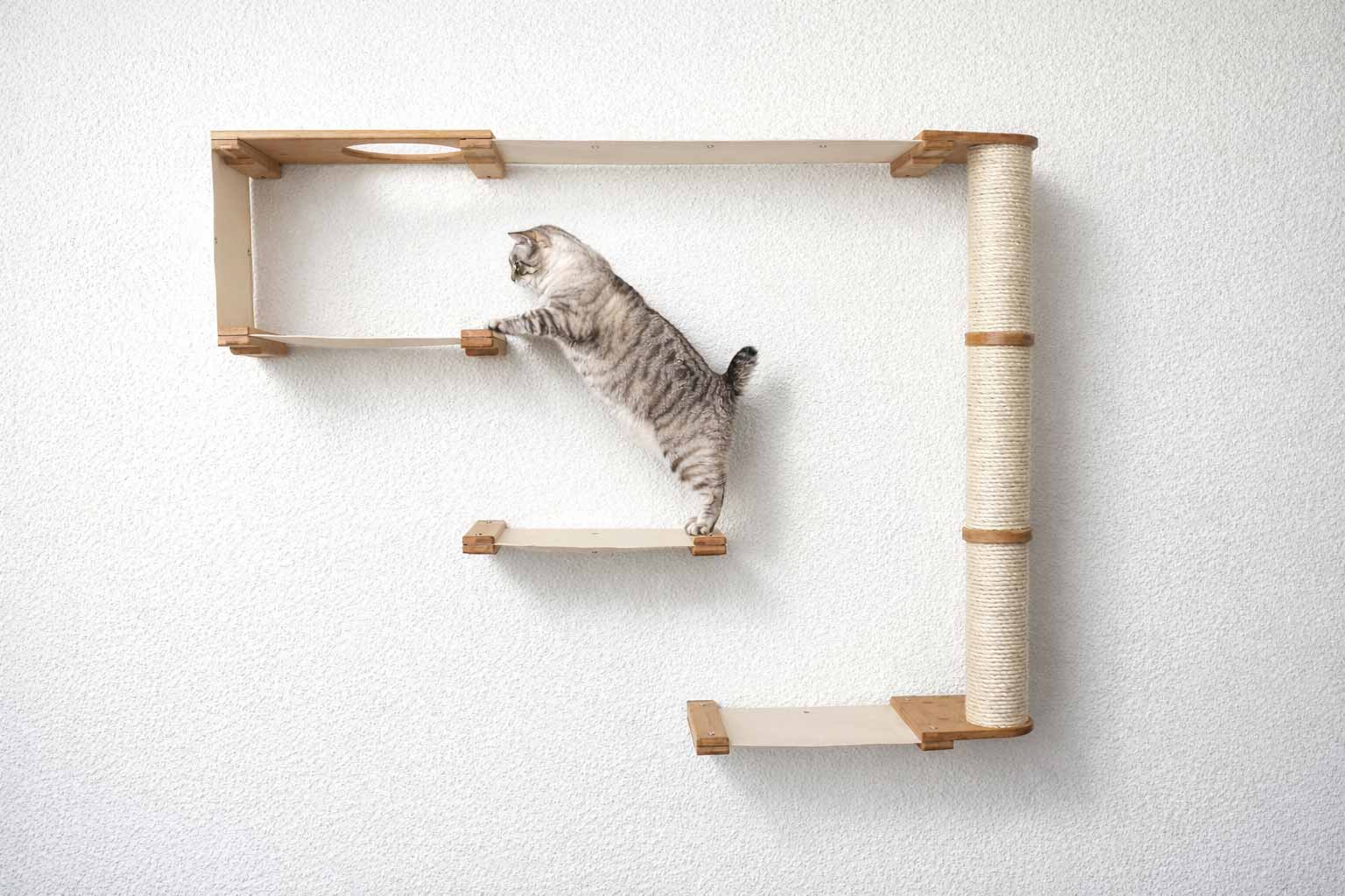 The Climb Condo - Cat Wall Climbing System by Catastrophic Creations