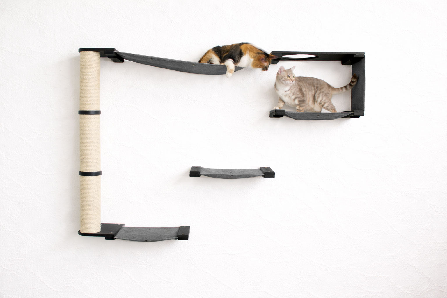 The Climb Condo - Cat Wall Climbing System by Catastrophic Creations
