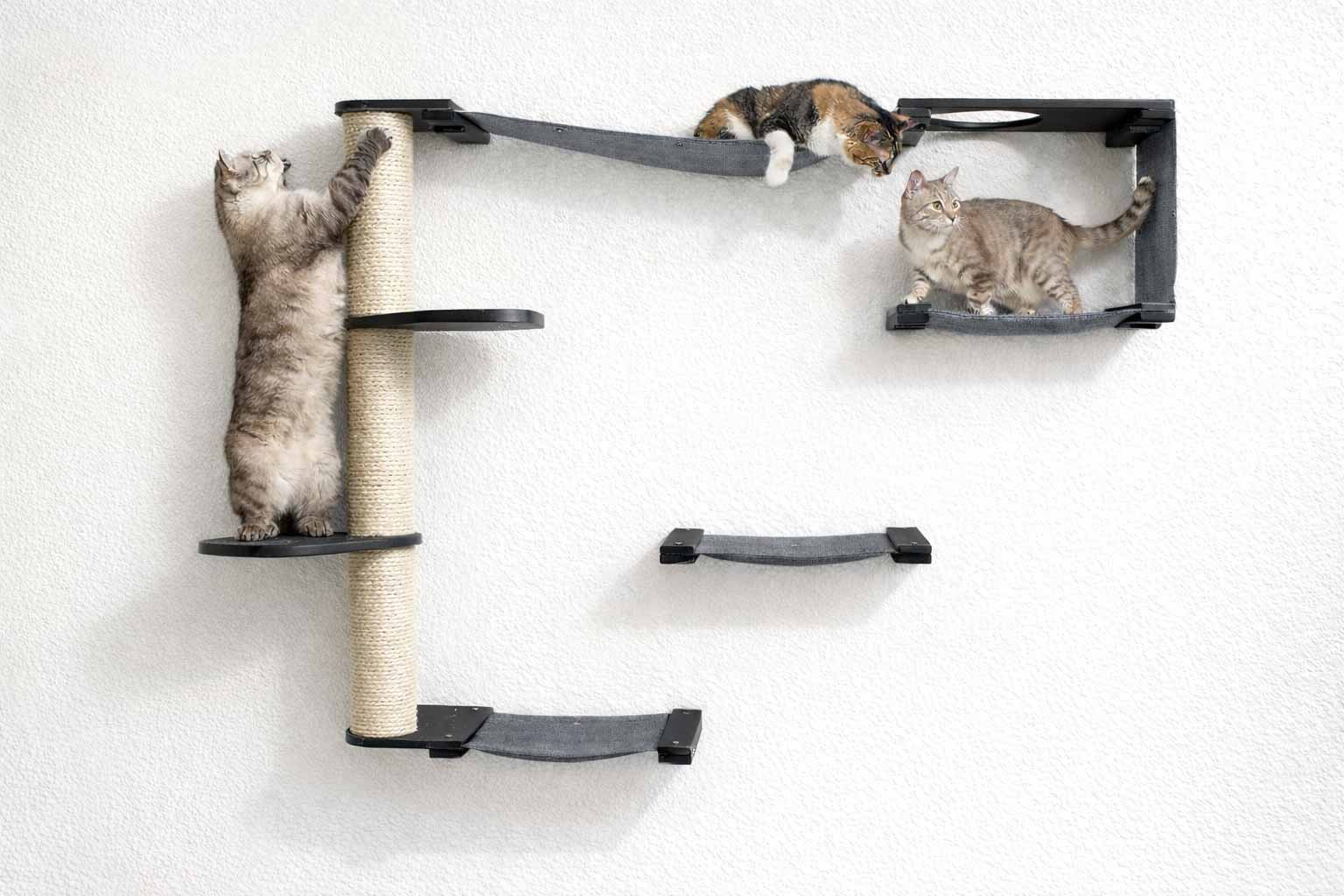 The Climb Condo - Cat Wall Climbing System by Catastrophic Creations