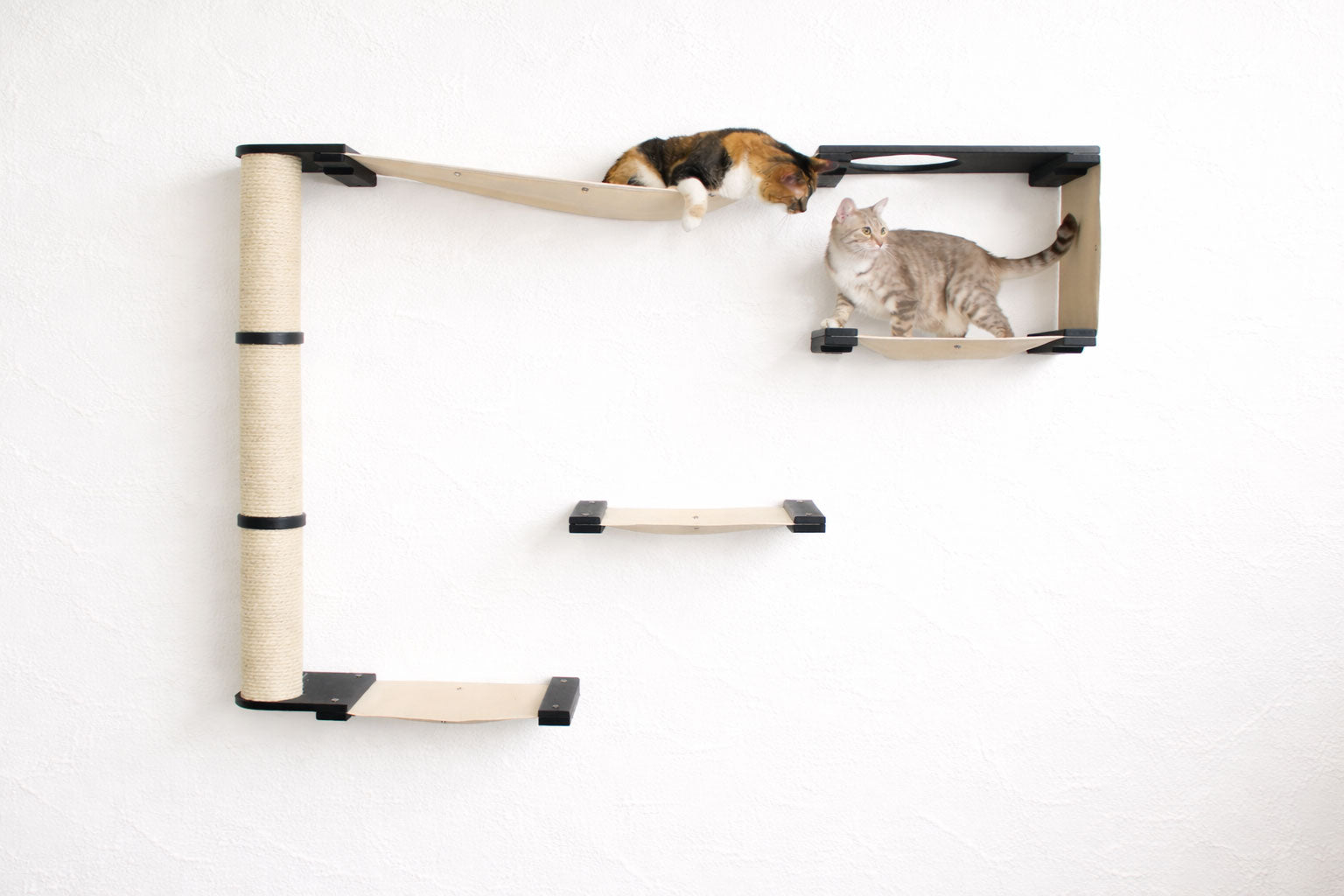 The Climb Condo - Cat Wall Climbing System by Catastrophic Creations