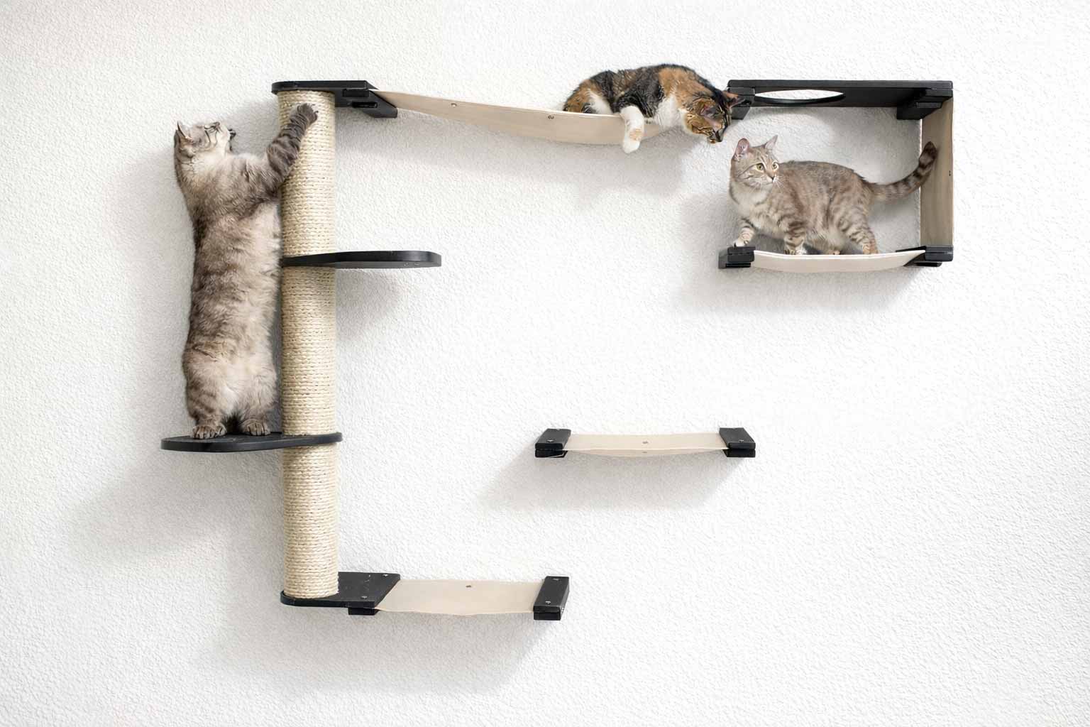 The Climb Condo - Cat Wall Climbing System by Catastrophic Creations