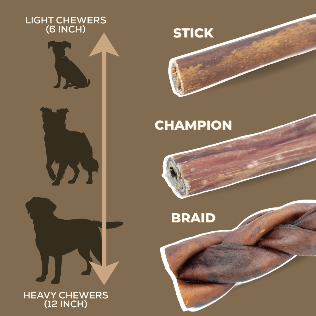 10-12 Inch Braided Collagen Stick by Bully Bunches