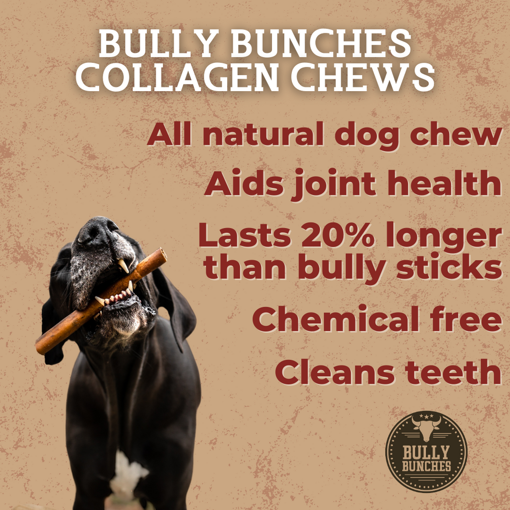 10-12 Inch Collagen Stick by Bully Bunches
