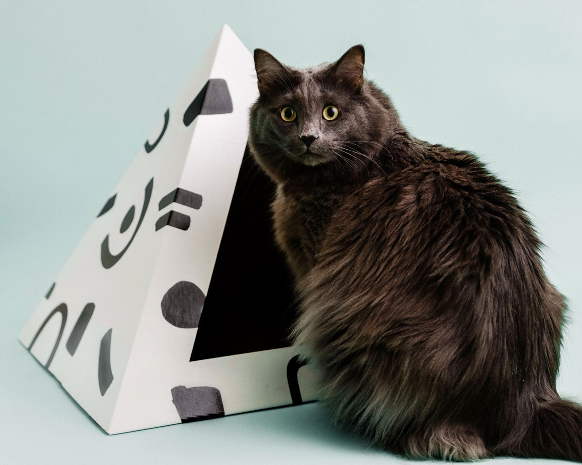 Doodle Cardboard Cat Pyramid by KittyKardboard