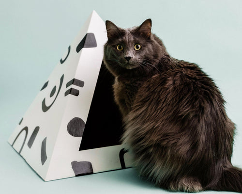 Doodle Cardboard Cat Pyramid by KittyKardboard