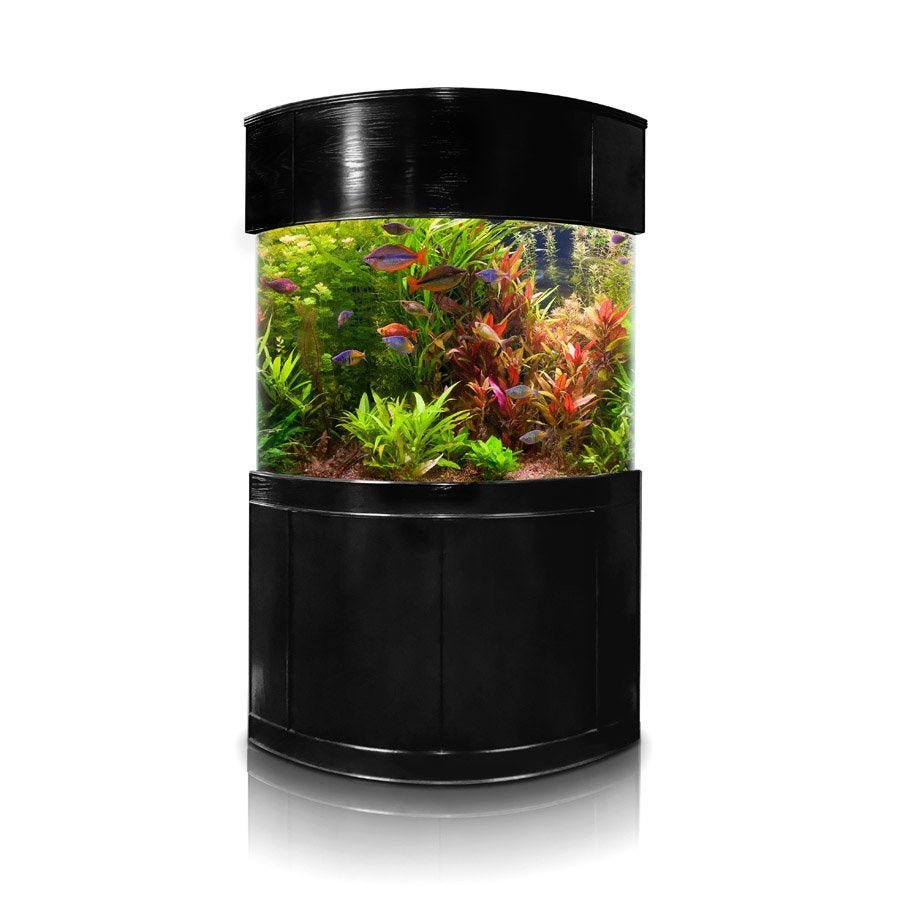 Glass Corner by AQUA VIM