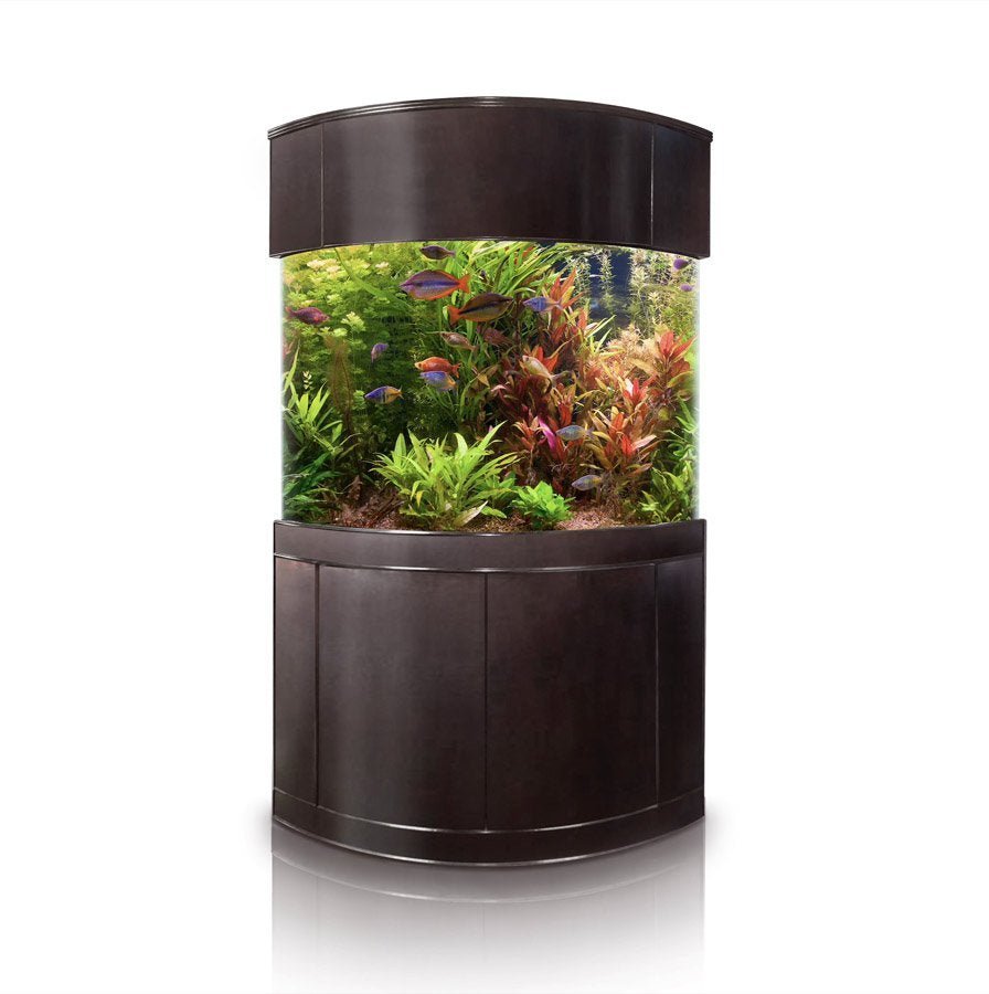 Glass Corner by AQUA VIM