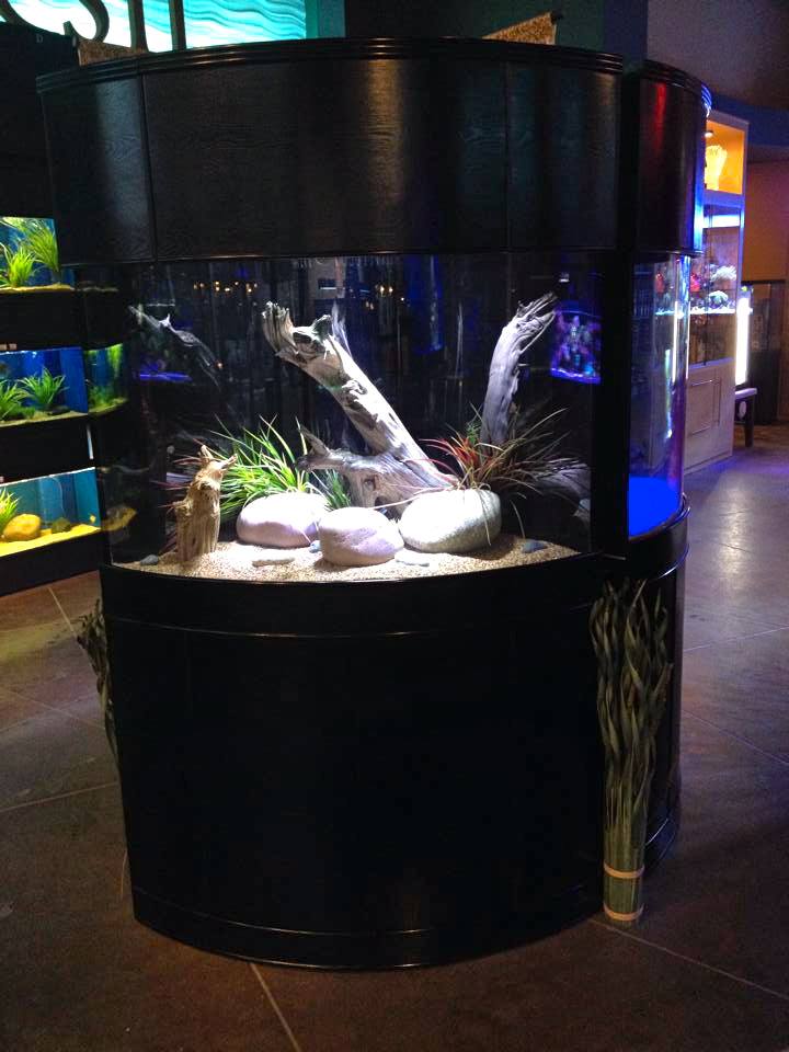 Glass Corner by AQUA VIM